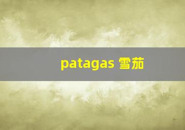 patagas 雪茄